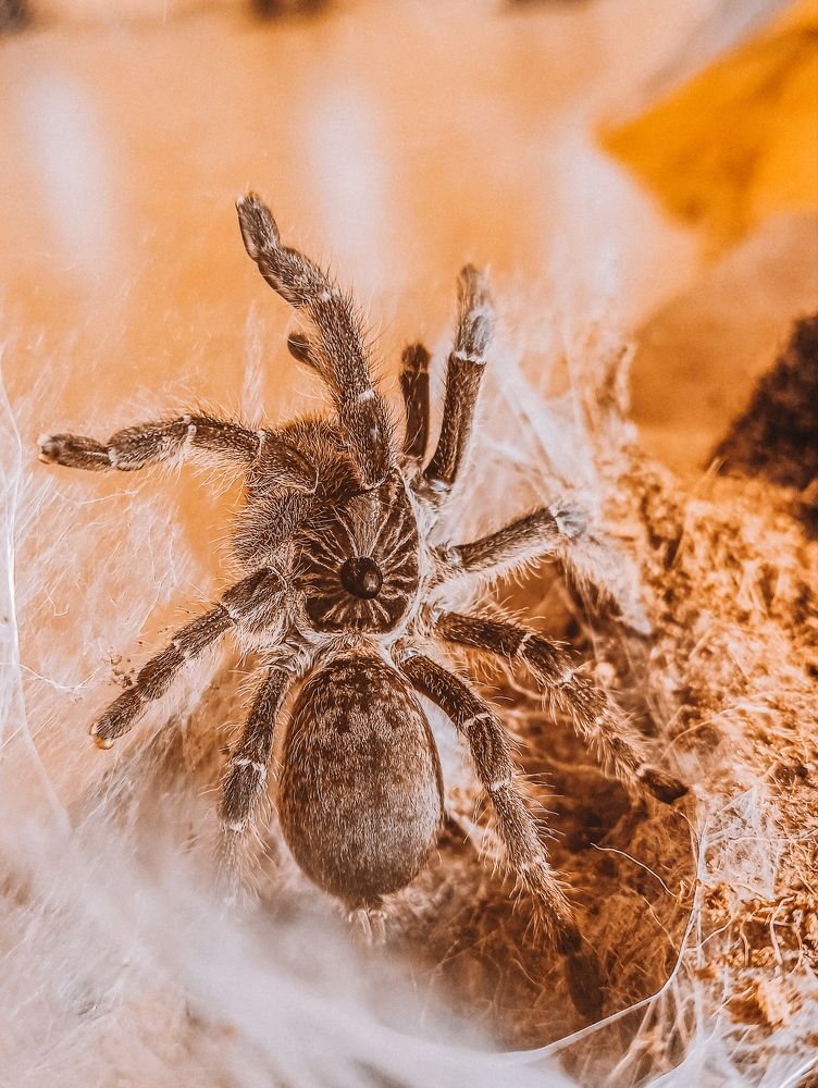 Photograph by Алексей Верхотурцев