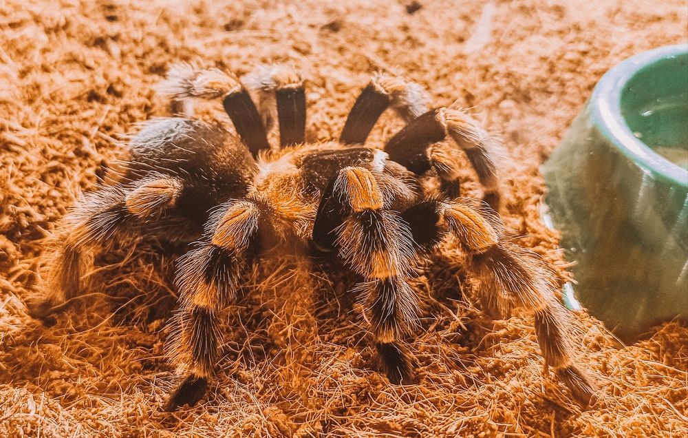 Photograph by Алексей Верхотурцев