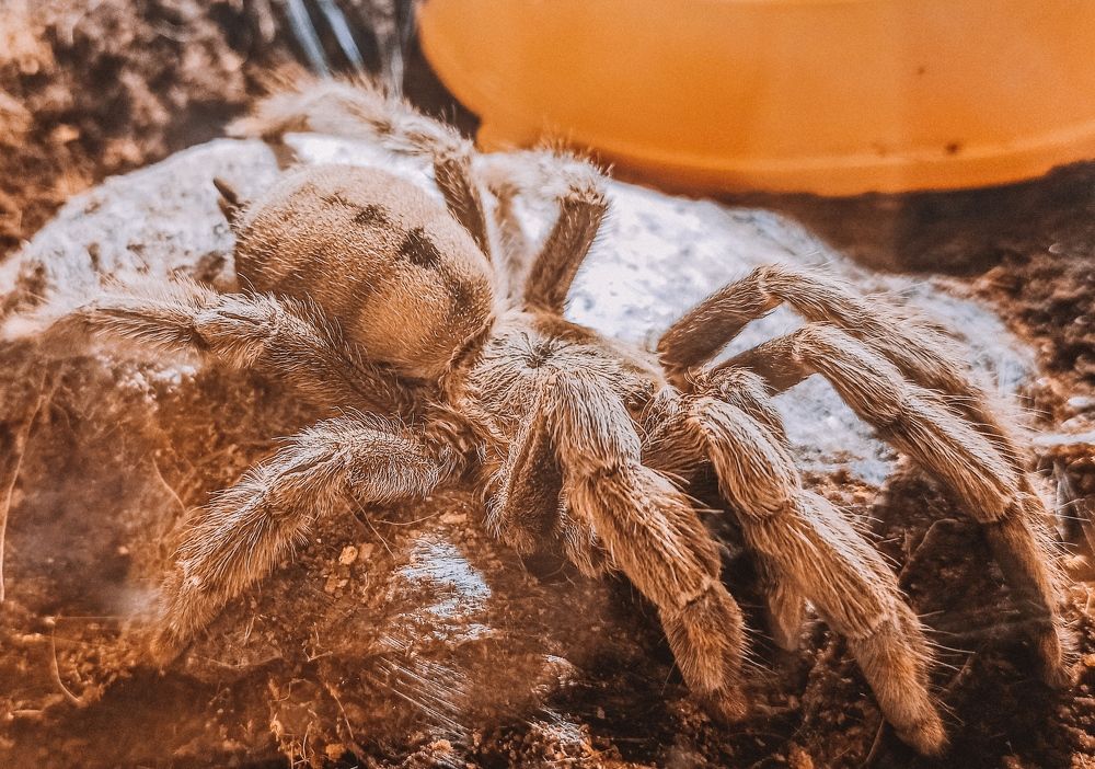 Photograph by Алексей Верхотурцев