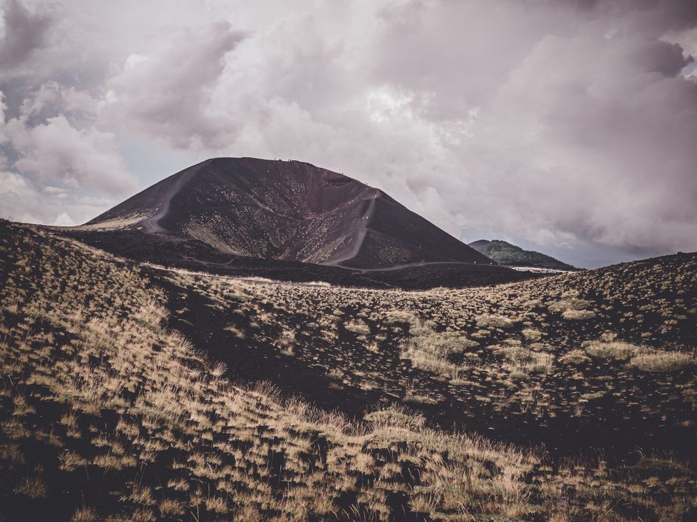 Photograph by Adam Lorenc