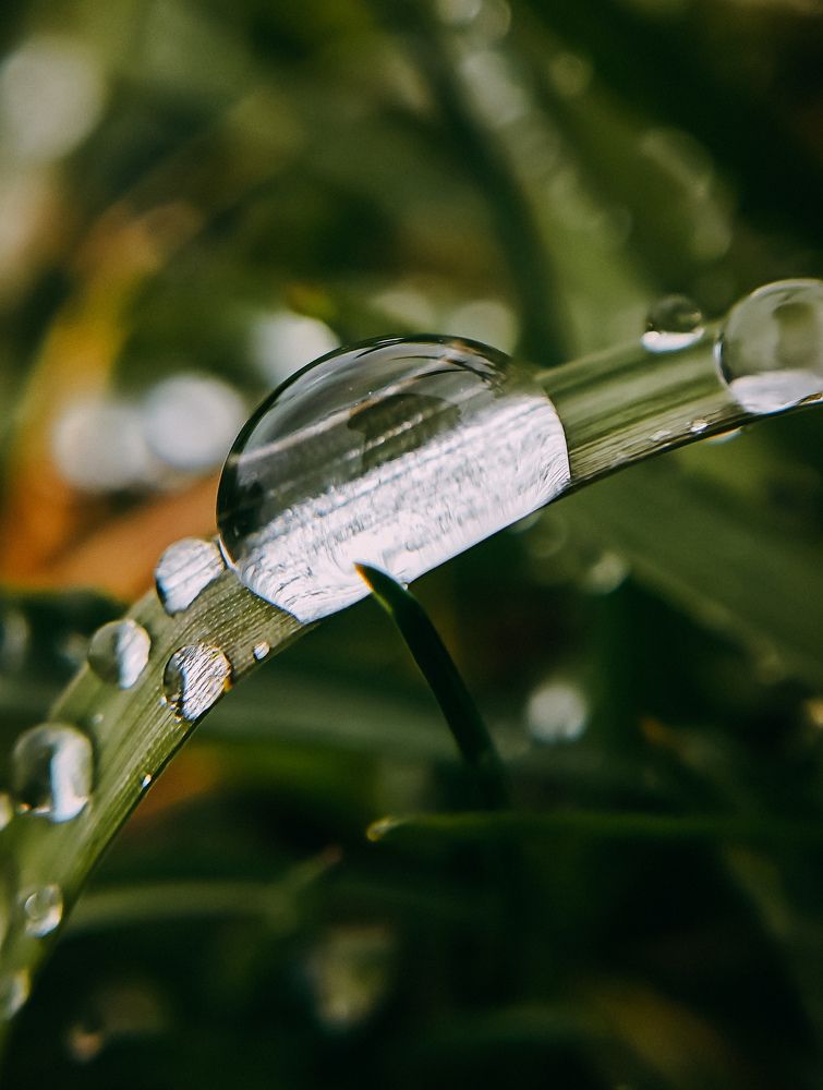 Photograph by Светлана Фоменко