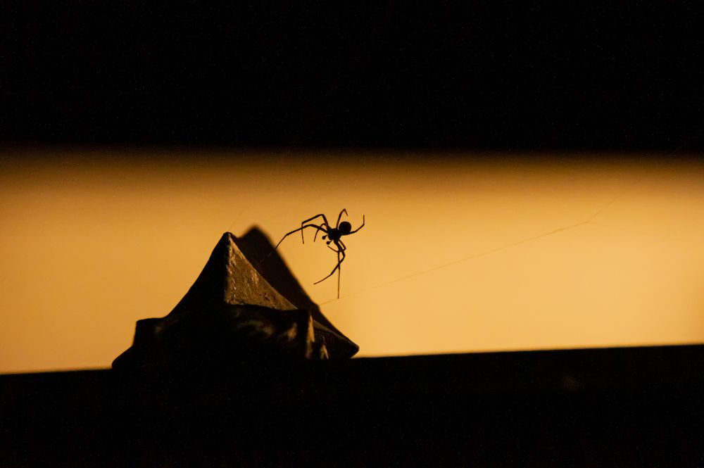 Photograph by Елизавета Корнилова