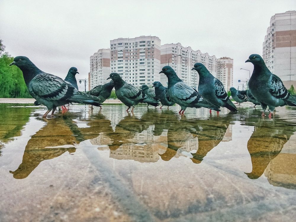 Photograph by Владимир Крылов