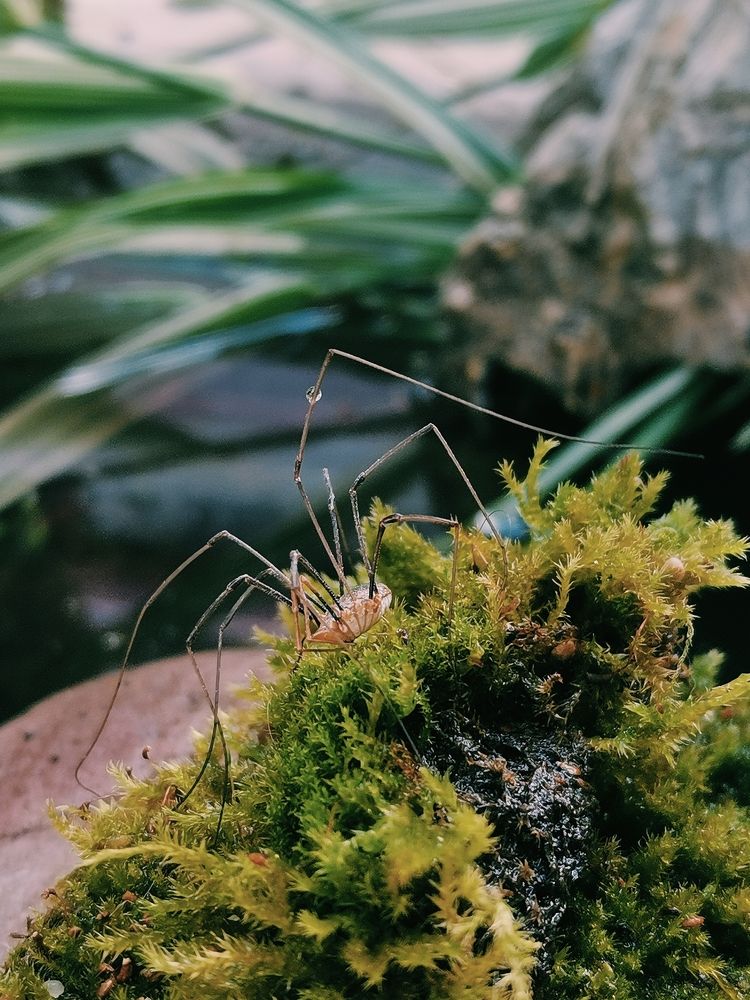 Photograph by Ольга Мажарук