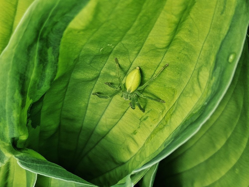 Photograph by Ольга Мажарук