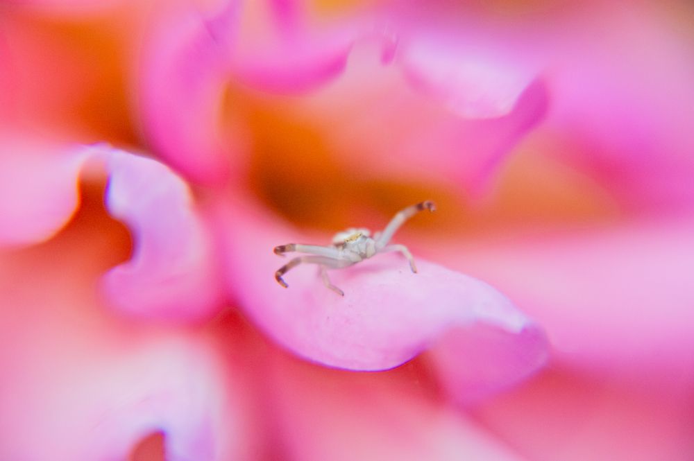 Photograph by Елизавета Корнилова