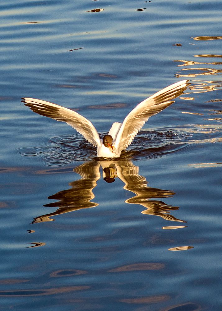 Photograph by Оксана Макарова