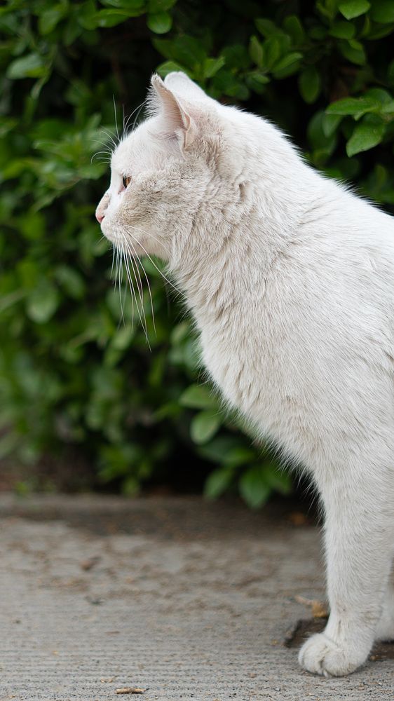 Photograph by mahdi nouri deldar