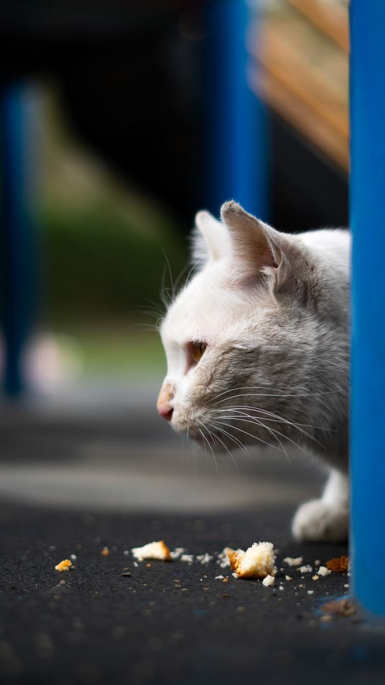 Photograph by mahdi nouri deldar