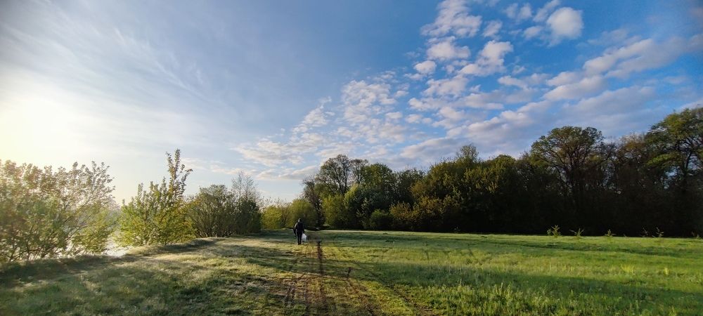 Photograph by Дарья Шевко