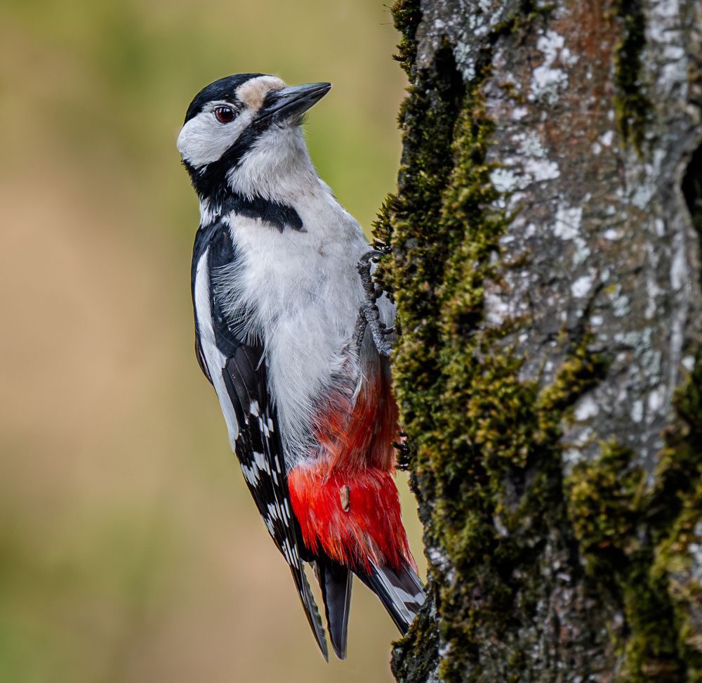 Photograph by Курлянцев Алексей