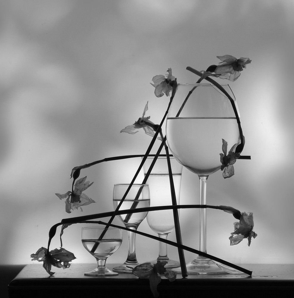 Photograph by 