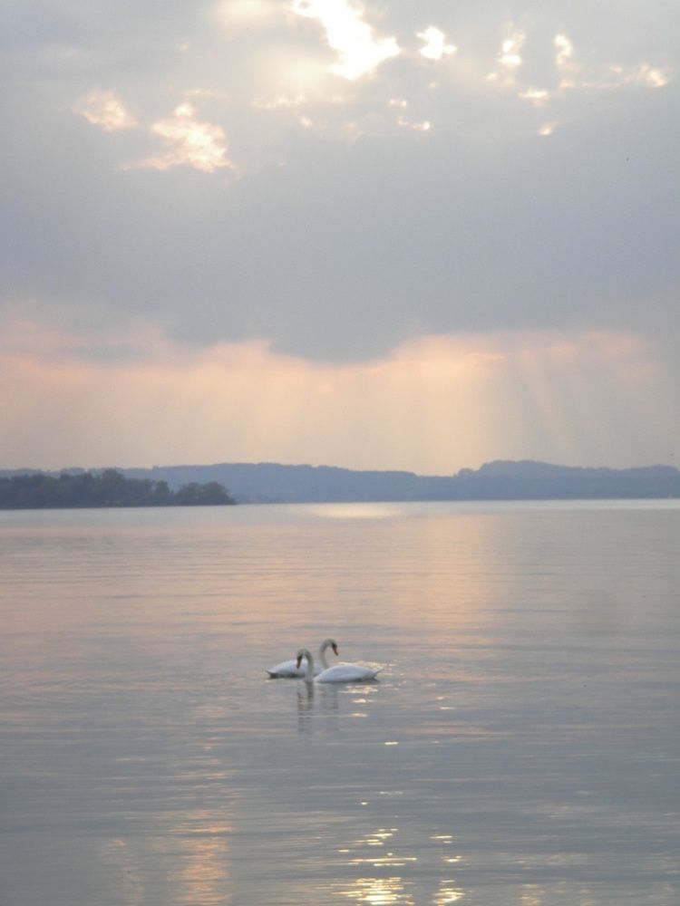 Photograph by Галина Петрушенко