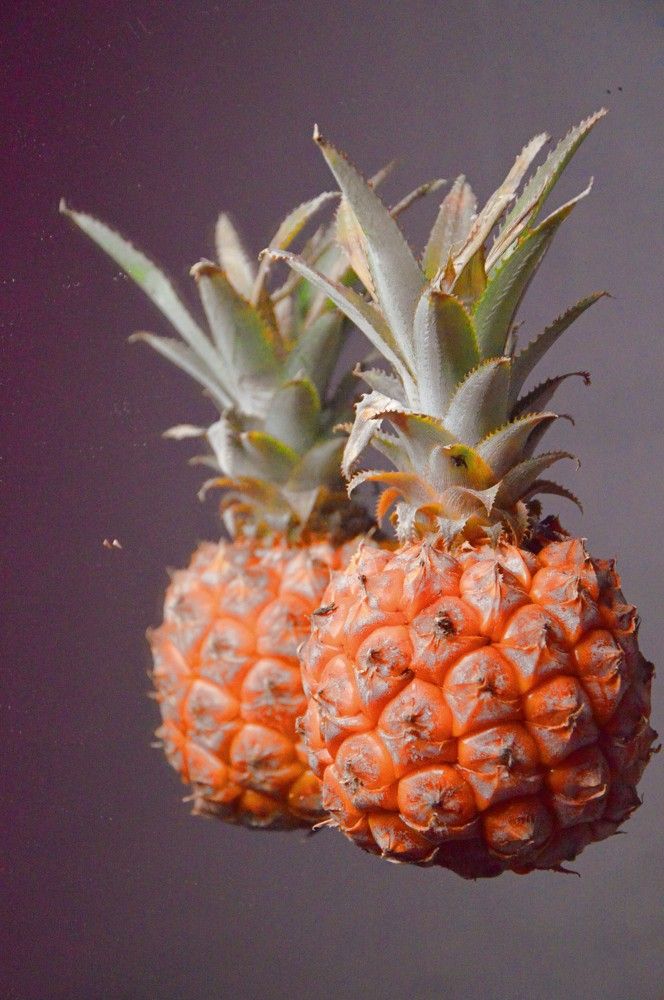 Photograph by Ольга Шевцова