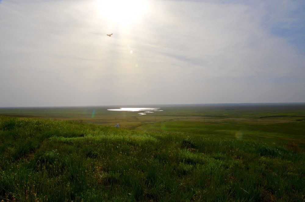 Photograph by Ольга Шевцова