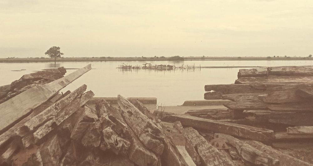 Photo #10562688