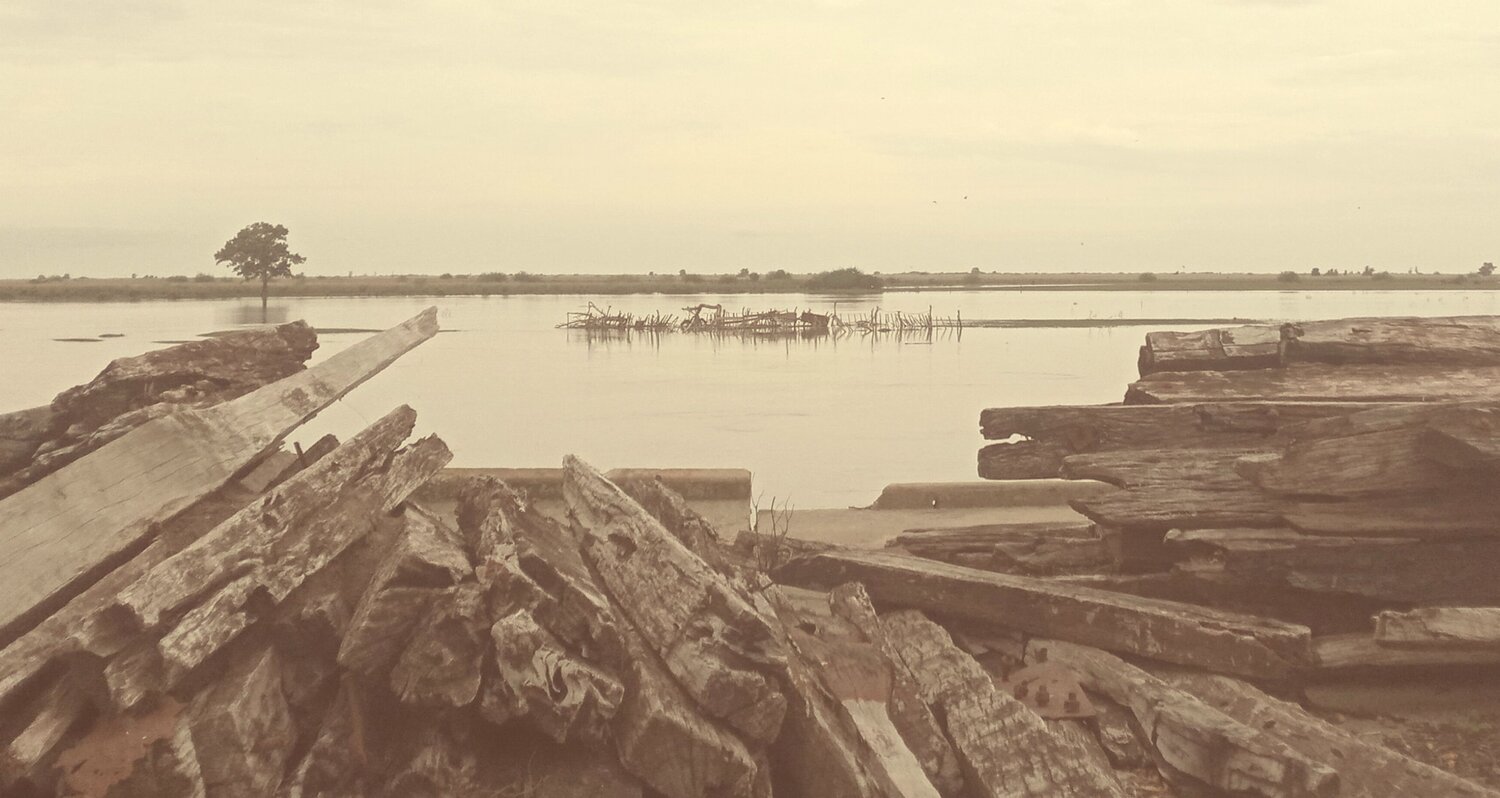 Photo #10562688