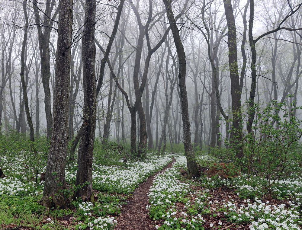 Photograph by Сергей Маслов