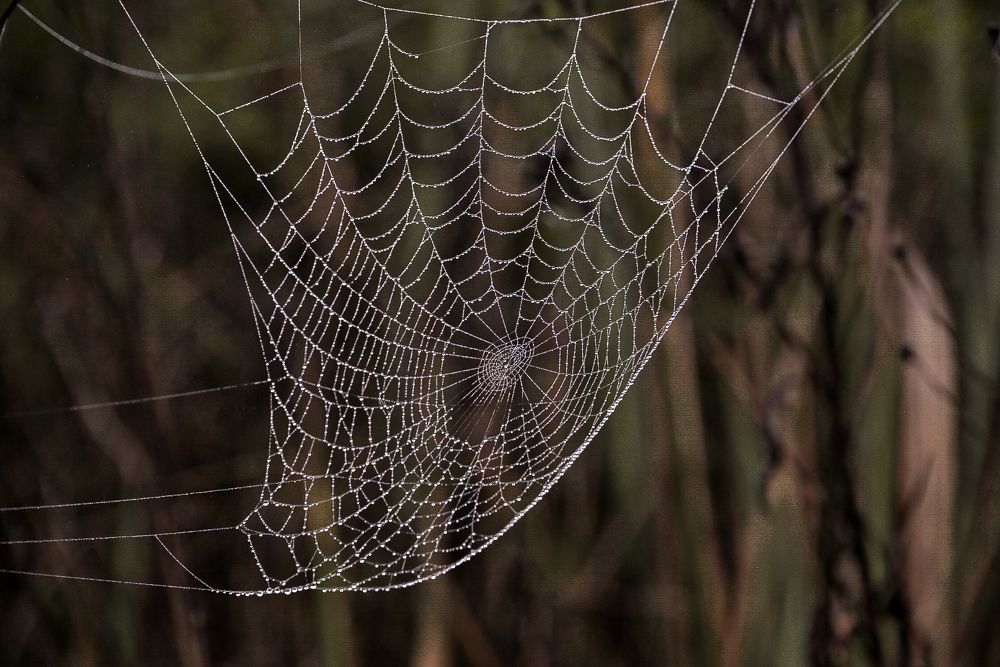 Photograph by Наталья Струц