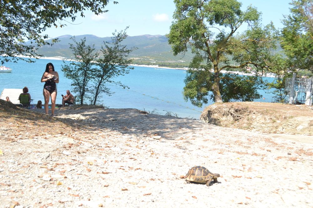 Photograph by Надежда Чаплынская