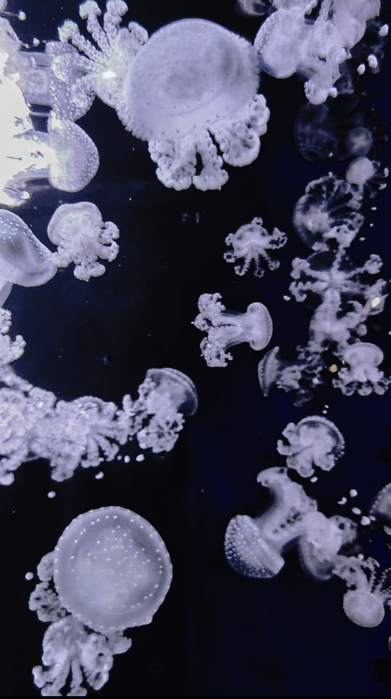 Photograph by Aleksandr Shevchenko