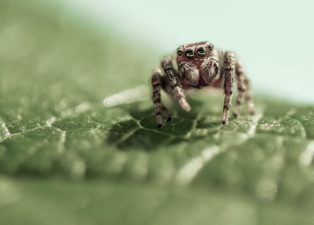 Photograph by Лапшина Владлена