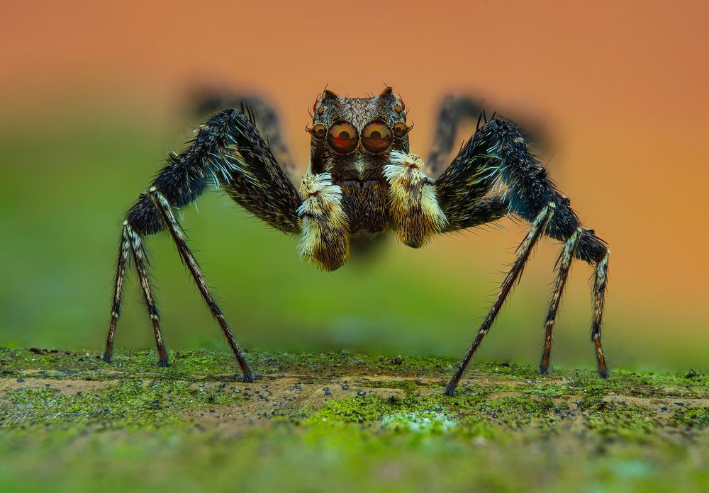 Photograph by Tinh Dang thanh