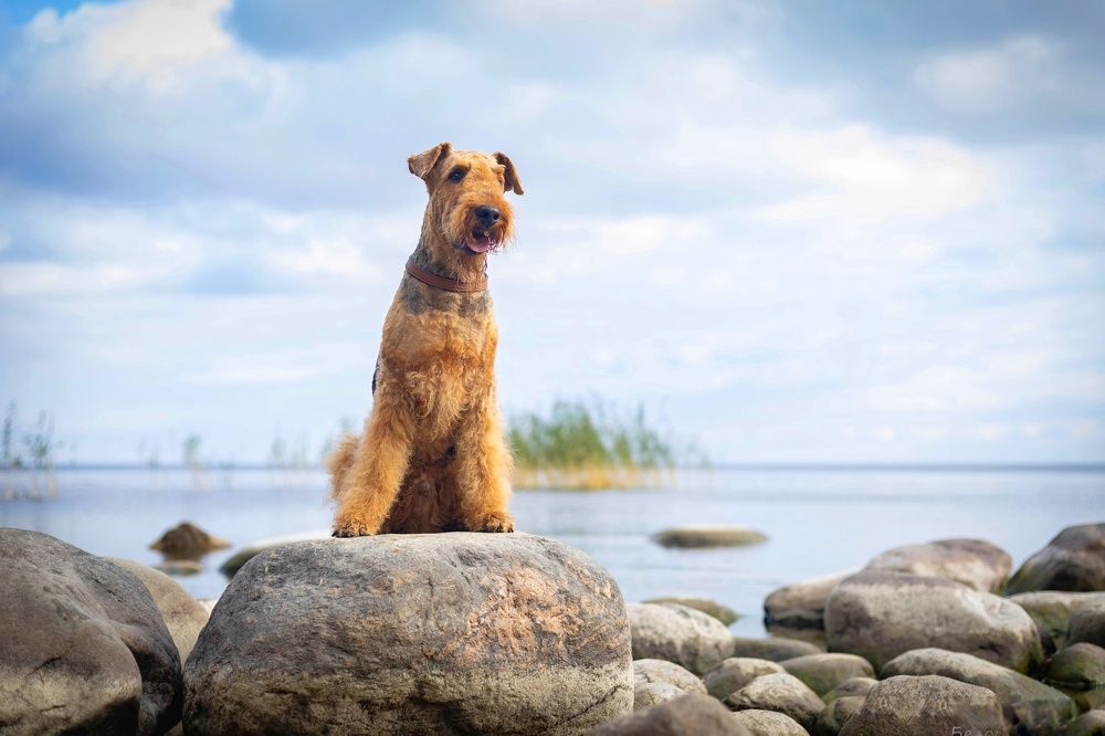 Photograph by Татьяна