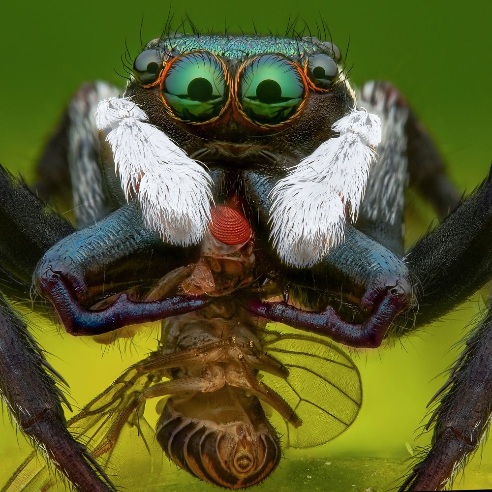 Photograph by Tinh Dang thanh