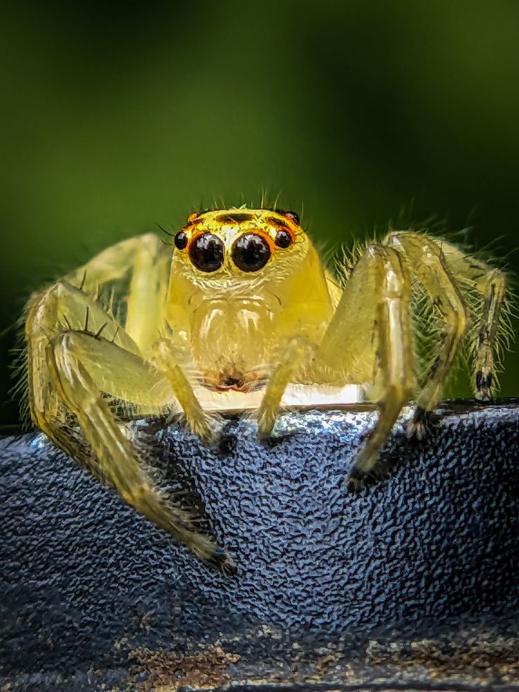 Photograph by ANU K MURALEEDHARAN