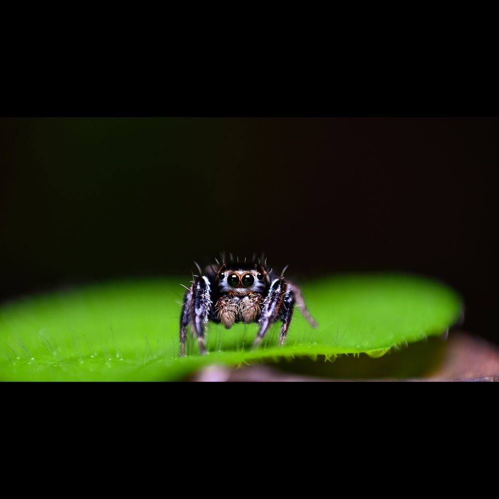 Photograph by ANU K MURALEEDHARAN