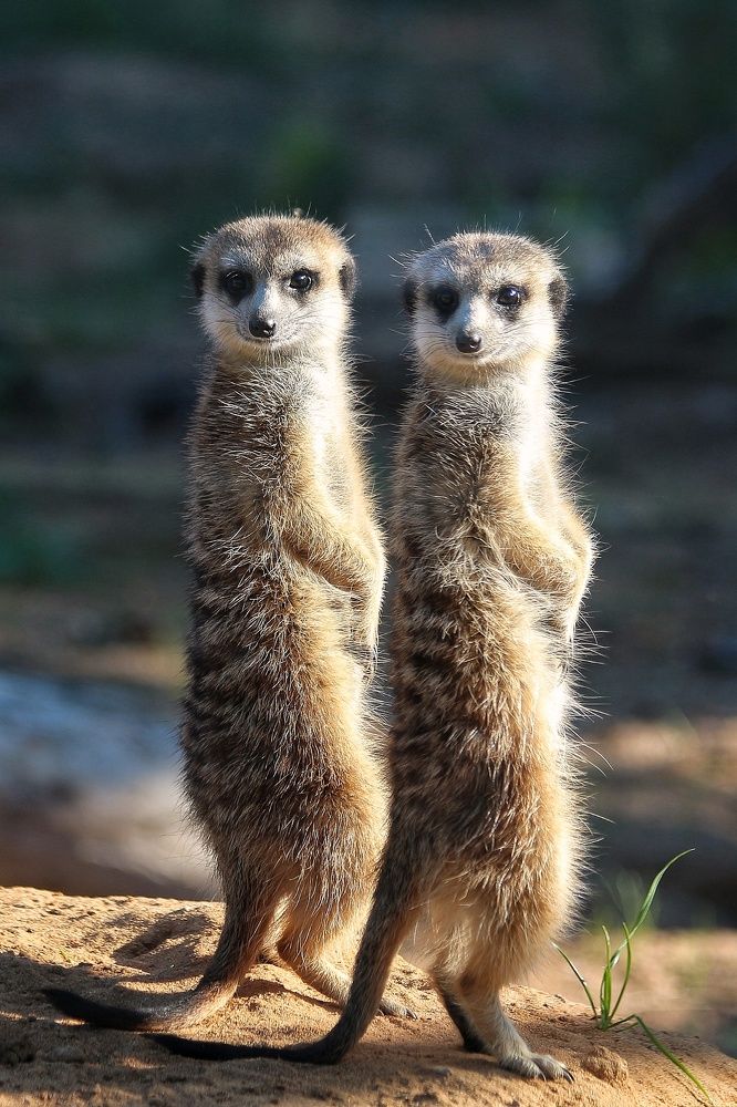 Photograph by Елена Кириллова