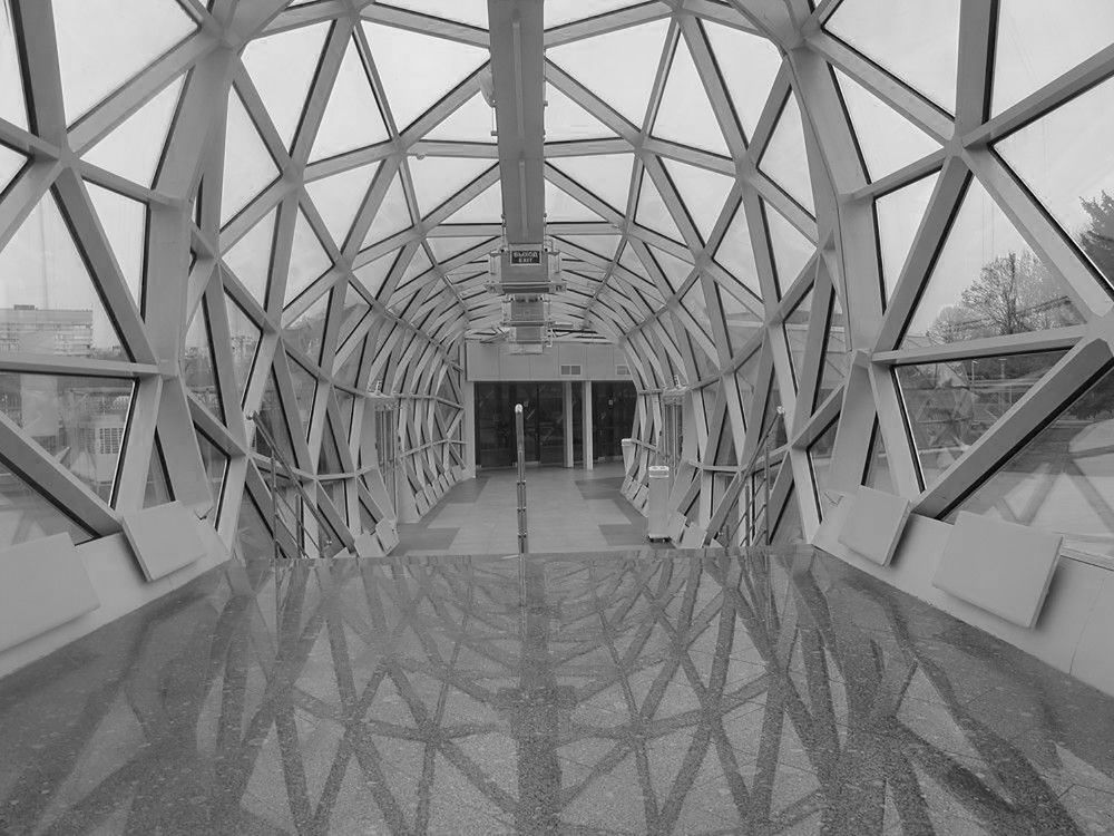 Photograph by Анастасия Пухова