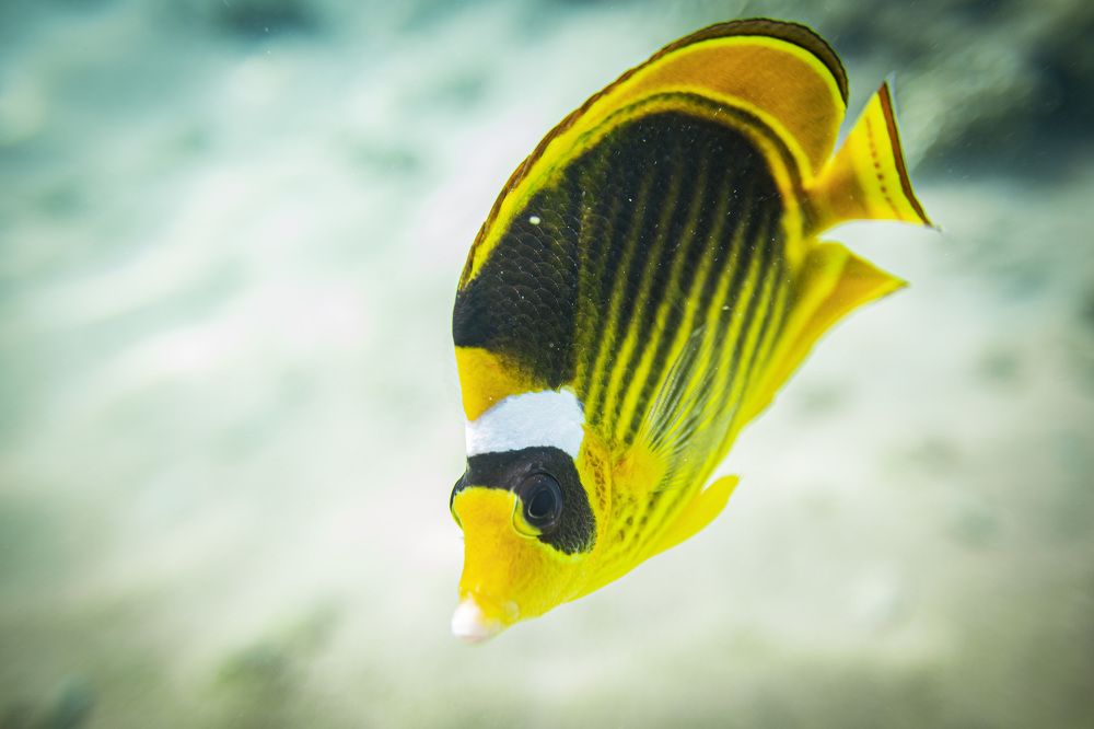 Фотография автора Каргин Валерий