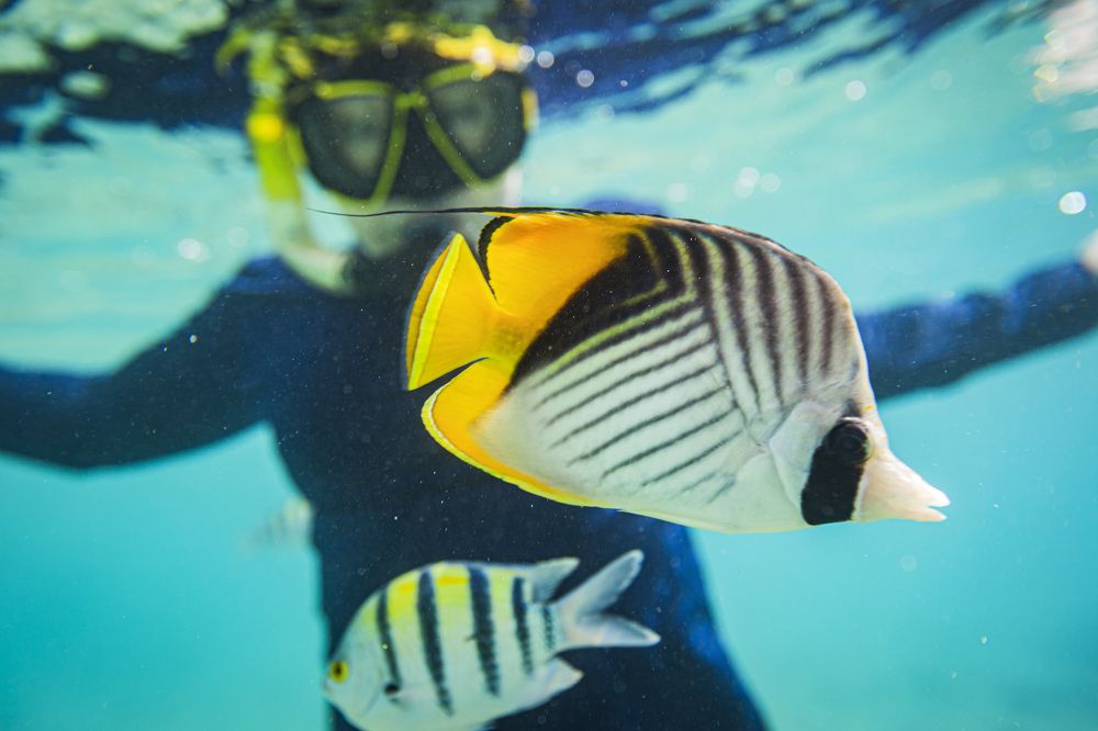 Фотография автора Каргин Валерий