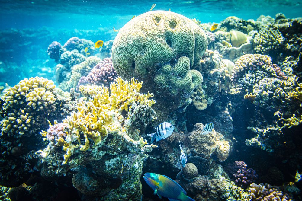 Фотография автора Каргин Валерий