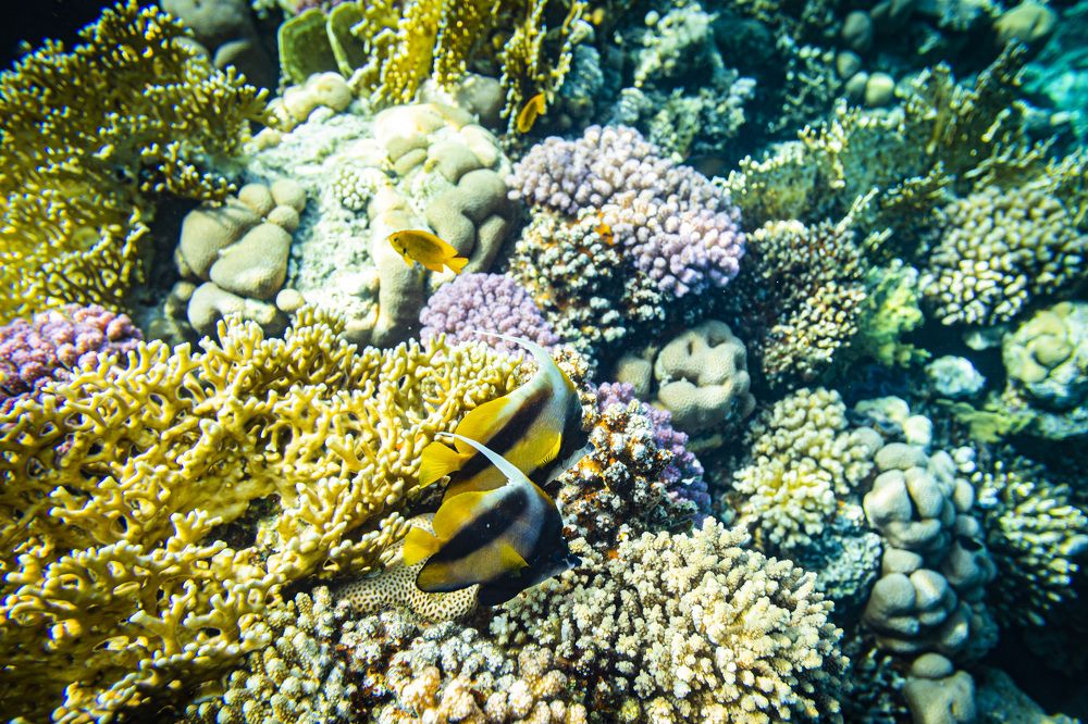 Фотография автора Каргин Валерий