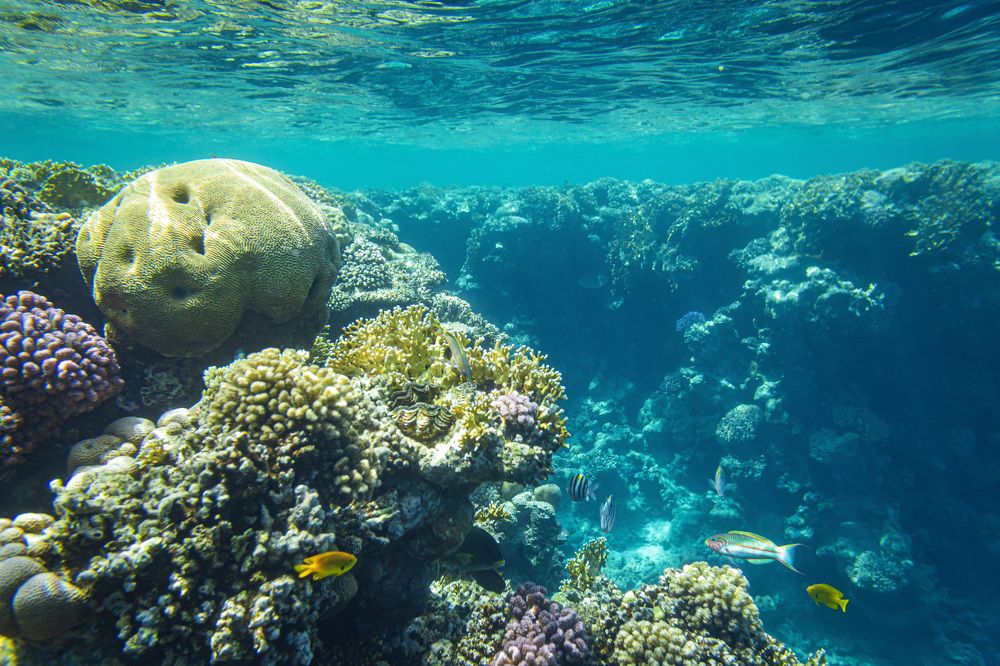 Фотография автора Каргин Валерий