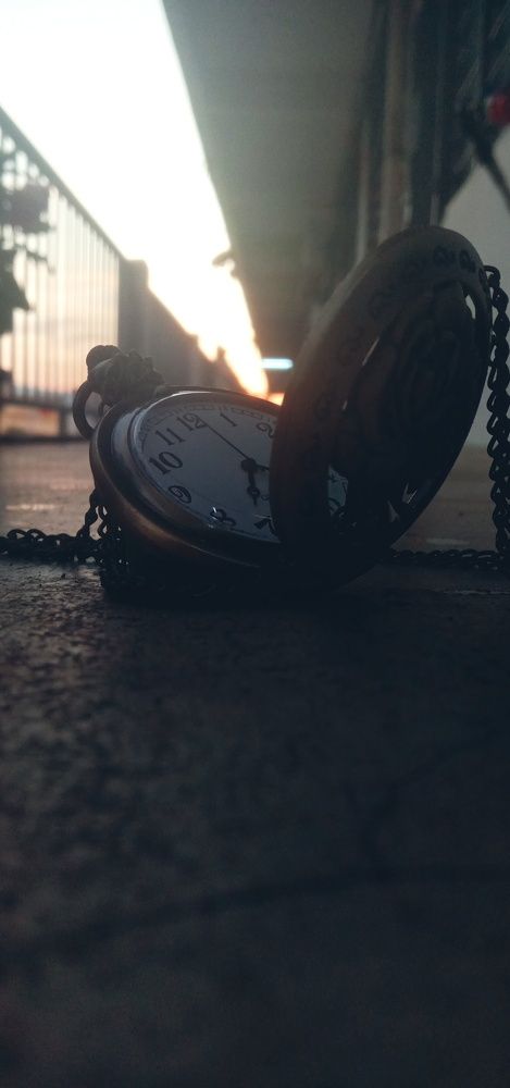 Photo #10563097
