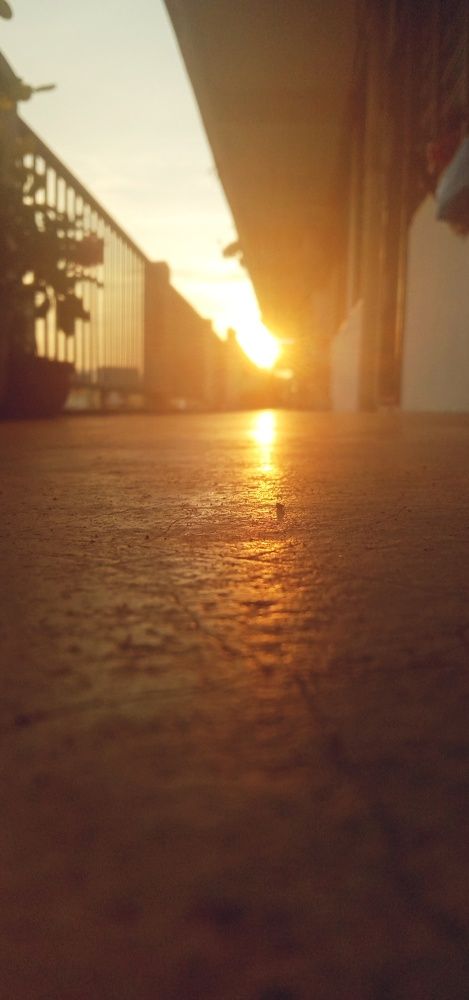 Photo #10563105
