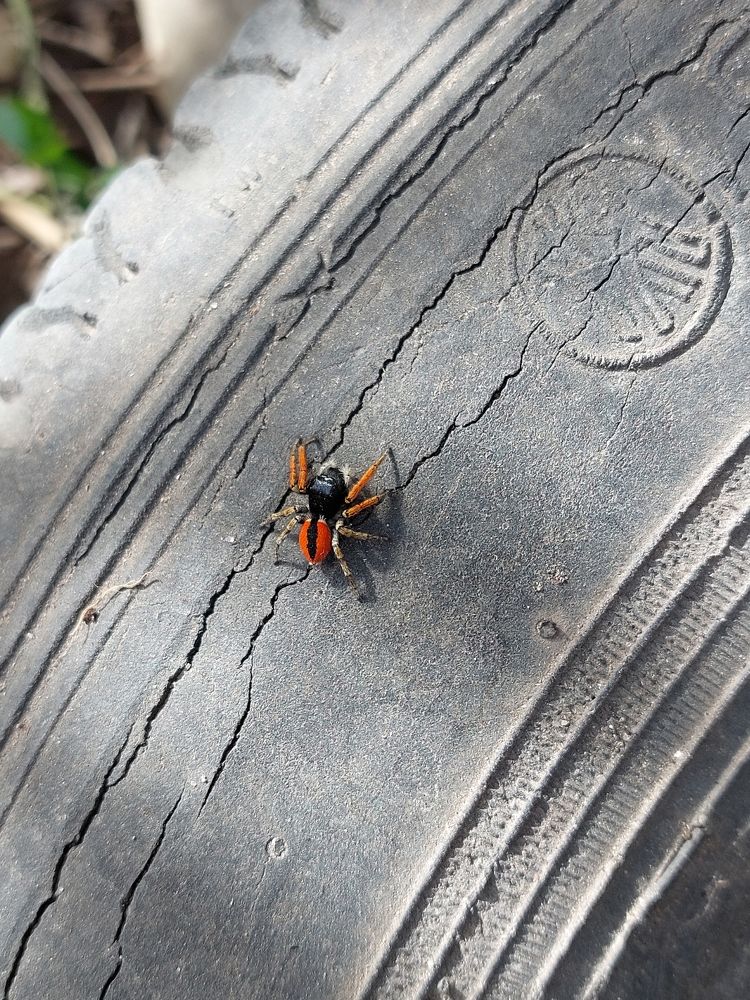 Photograph by Нина Паршина