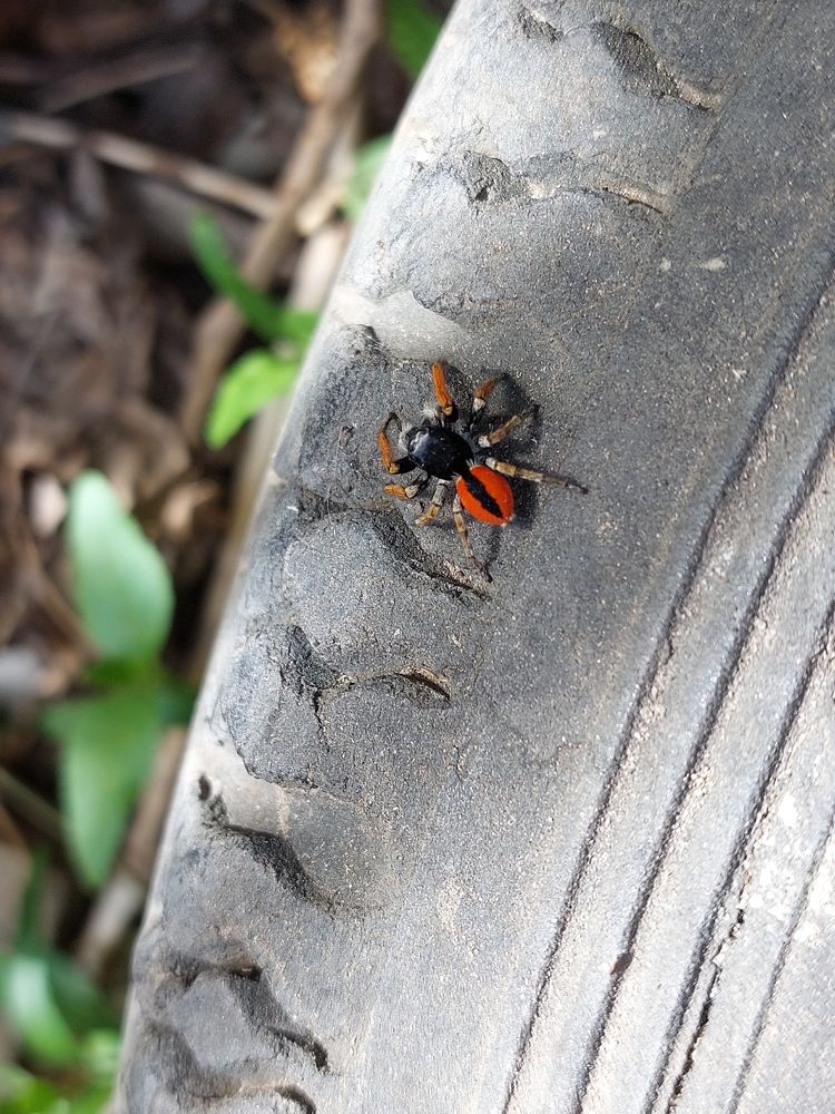 Photograph by Нина Паршина