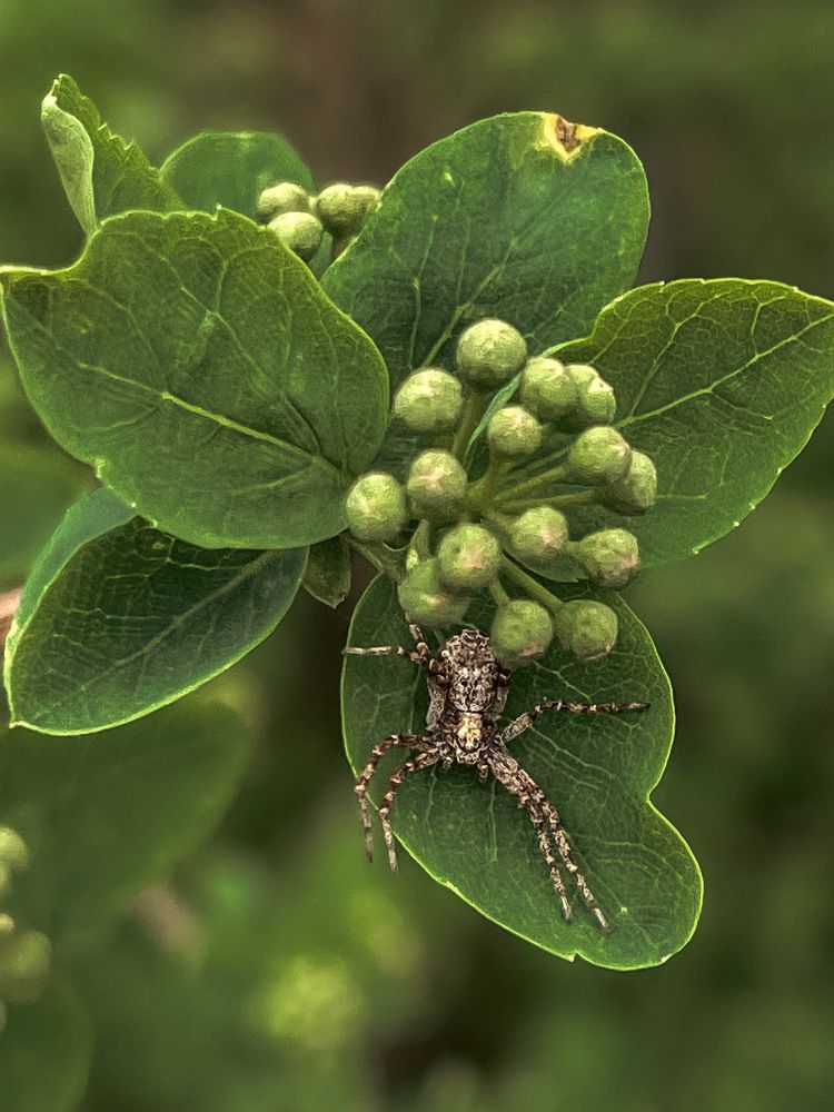 Photograph by Ольга Дорошенко