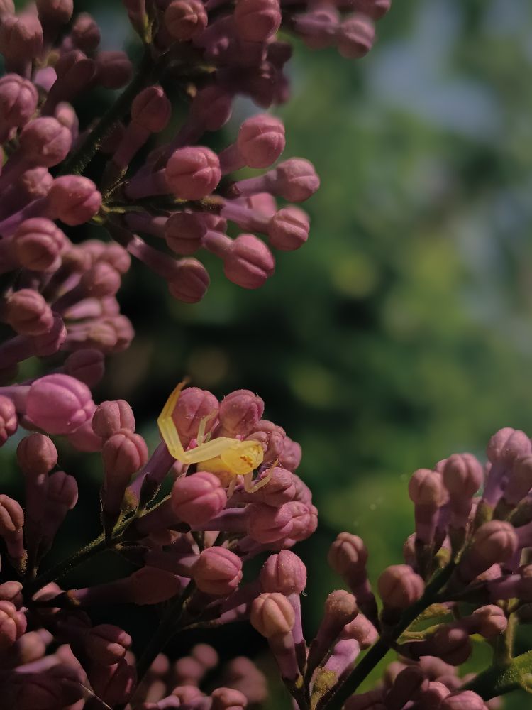 Photograph by Margarita Presidentova