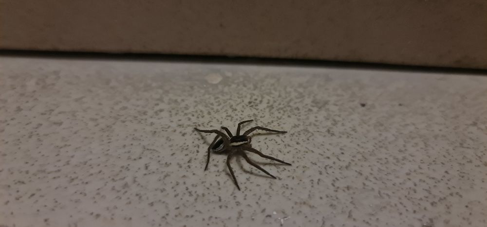 Photograph by Natasha Kim