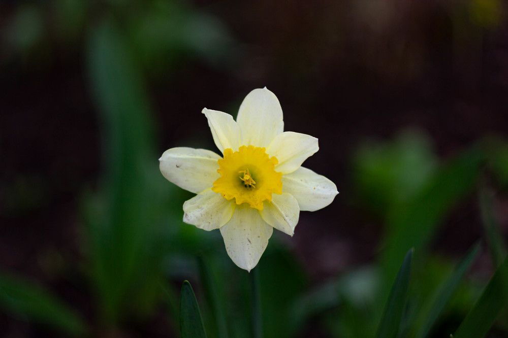 Photograph by Михаил Костыря