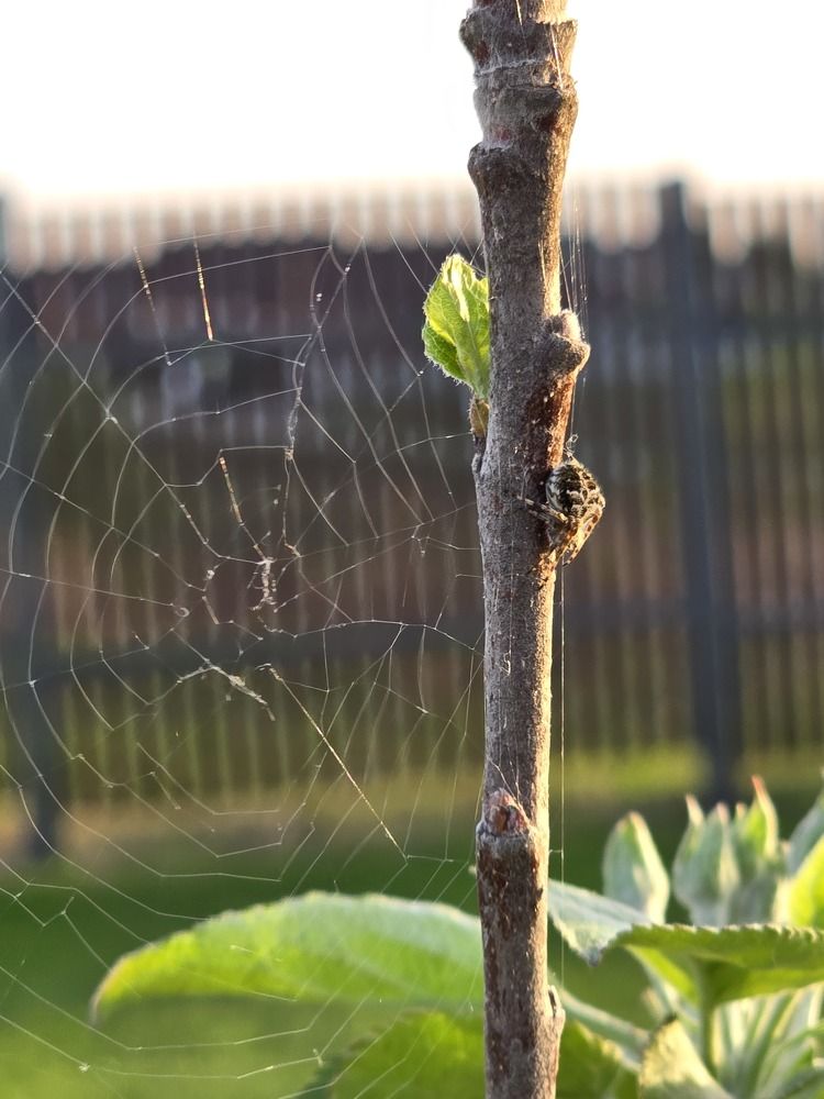 Photograph by Елена Сиушова