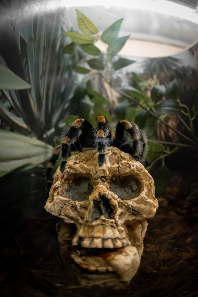 Photograph by Олег Бережных