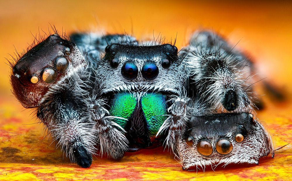 Photograph by Anh Nguyen