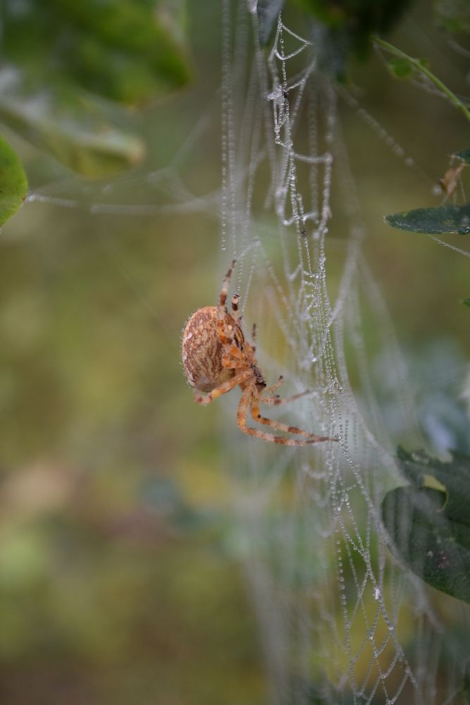 Photograph by Наталья Ченчикова